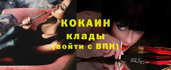 дживик Абинск