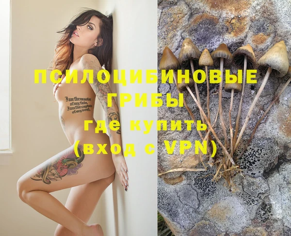 дживик Абинск