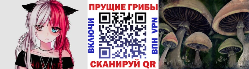 Галлюциногенные грибы мухоморы  купить наркотик  мега вход  Ханты-Мансийск 